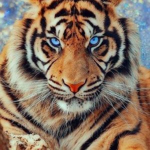 Meet your Posher, Scott